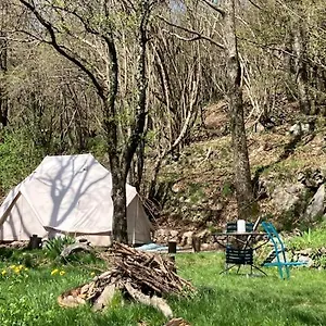 Grande Tente Tipi En Pleine Foret Tente de luxe
